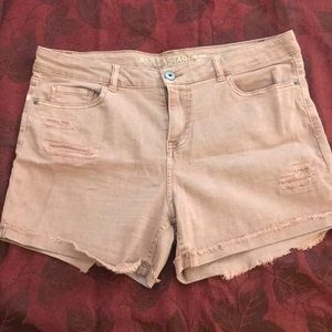 Mid Rise Shorts